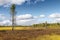 Marsh landscape on the Yamal Peninsula in Siberia