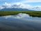 Marsh reflections