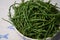 Marsh Samphire or Common Glasswort Salicornia europaea