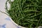 Marsh Samphire or Common Glasswort Salicornia europaea