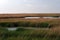 in the marsh in South louisiana.