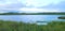 Marsh swamp panorama nature ecology waterlilies and sky wildlife environment