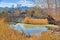 Marsh with tall grasses and a view of mountain range and sky at Sweetwater Wetlands- Tucson, Arizona