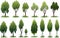 marsh trees set isolated vector style illustration