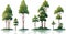 marsh trees set isolated vector style illustration