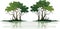 marsh trees set isolated vector style illustration