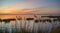 Marsh View Currituck Sound North Carolina