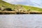 Marsh views, Coyote Hills Regional Park, east San Francisco bay, Fremont, California