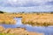 Marsh views, Coyote Hills Regional Park, east San Francisco bay, Fremont, California