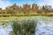 The marsh and wetland of the `Great Mere`, Kenilworth, UK with a backdrop of the ruins of the Kenilworth castle