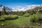 Marsh wetlands in Eastern Sierra Nevada mountains in California, along the John Muir Trail in Little Lakes Valley Heart Lake in