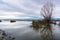 Marsh winter landscape, California