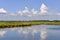 Marshes in the Bay of Arcachon