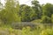 Marshes and Bayous of Louisiana