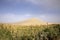 Marshes landscape at oasis in Singing Sand Mountain, Taklamakan