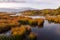 The Marshes of the North seen during a Fall golden hour morning