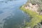 Marshes of Puerto Real, Trocadero Cano, Cadiz, Spain