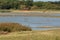 Marshes at RSPB Minsmere