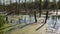 Marshes and trees in the forest.