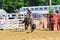 Marshfield, Massachusetts - June 24, 2012: A Rodeo Cowboy Attempting To Rope A Running Calf