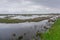 Marshland on Deal Island, Somerset County, Maryland, USA