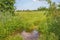 Marshland, distant heather and meadows