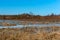 Marshland in early spring, the frozen marsh, the ice in the swamp in the spring