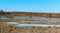 Marshland in early spring, the frozen marsh, the ice in the swamp in the spring
