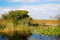Marshland of Everglades National Park