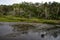 The marshland and lush tropical woods, Big Talbot Island State Park, Florida