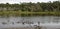 The marshland and lush tropical woods, Big Talbot Island State Park, Florida