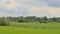 Marshland with meadows and trees under dark storm clouds sin bourgoyen nature reserve, Belgium