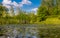 Marshland nature of Louisiana. US Natural Parks