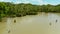 Marshland in the rainforest. Siargao,Philippines.