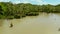 Marshland in the rainforest. Siargao,Philippines.