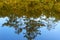 Marshland, reflection of trees in the pond, a picturesque pond in the forest