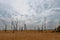 Marshland scrub and reedbeds at Alkborough Reserve, Near Whitton, in Lincolnshire.