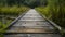 Marshland Serenity: Ancient Boardwalk