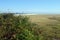 Marshlands of Coast Guard Beach, Cape Cod`s National Seashore