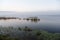 Marshlands on foggy morning