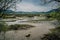 Marshlands and swamps in the Urdaibai Biosphere Reserve in the Basque Country