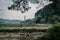 Marshlands and swamps in the Urdaibai Biosphere Reserve in the Basque Country