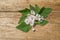 Marshmallow flower on wooden table.