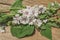 Marshmallow flower on wooden table.