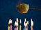 Marshmallow roast over birthday candles