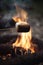 Marshmallow on a stick being roasted over a camping fire AI generated