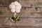 Marshmallows with berries on wooden table. rose