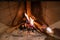 Marshmallows On Stick Roasting Over Campfire On Black Background. People take marshmallows around fireplace, enjoying