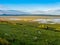 Marshy meadow in Northern Arizona