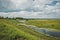 Marshy river flows through the field